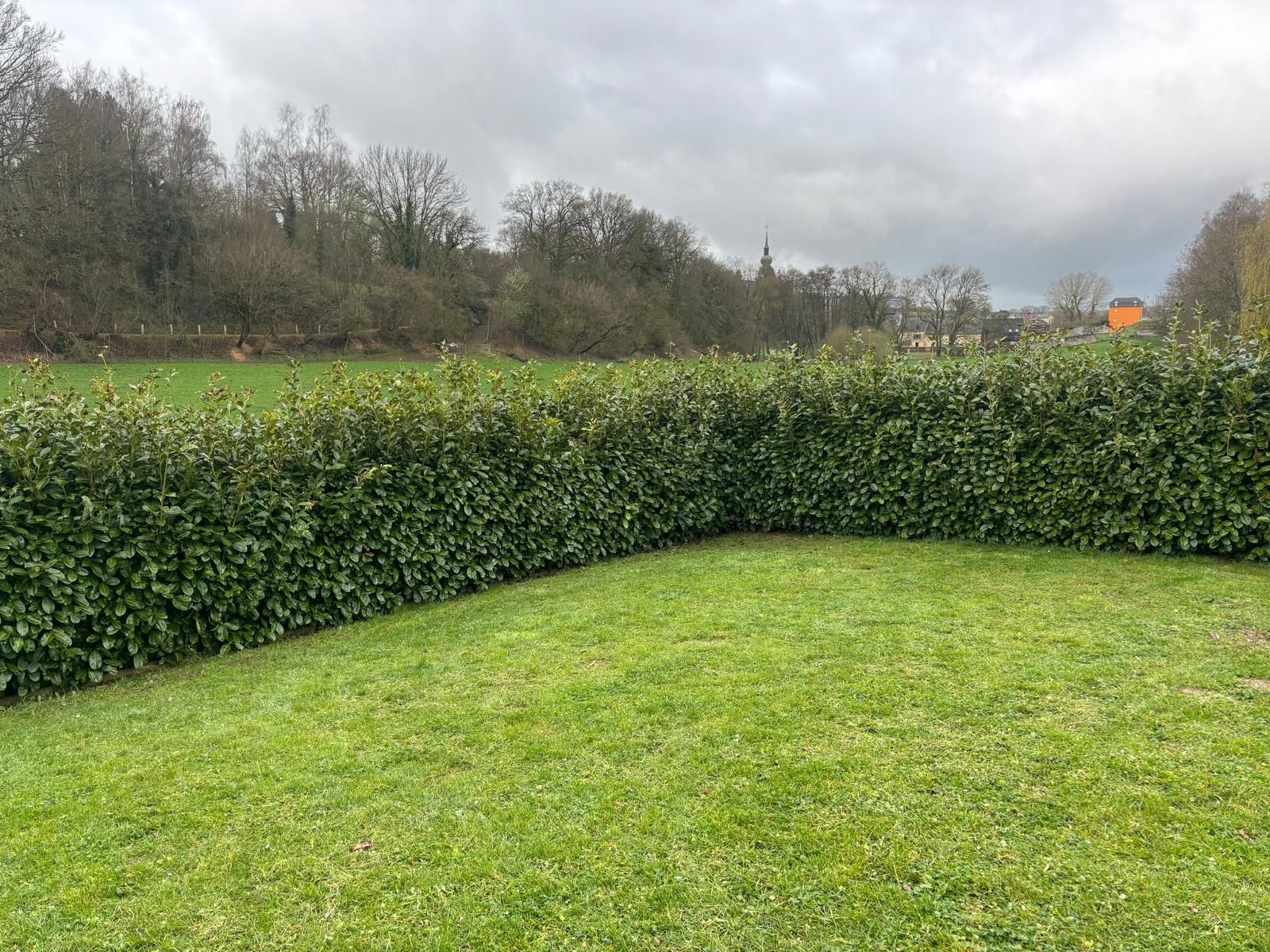 Jardin entretenu avec haie taillée en angle